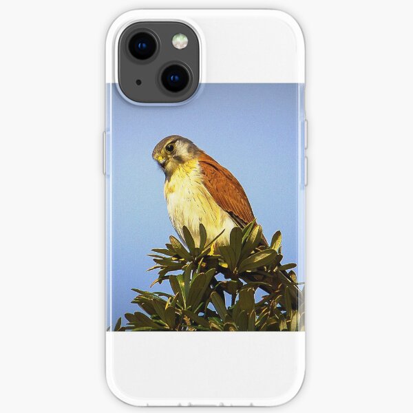 Kestral at The Skillion, Terrigal NSW iPhone Soft Case