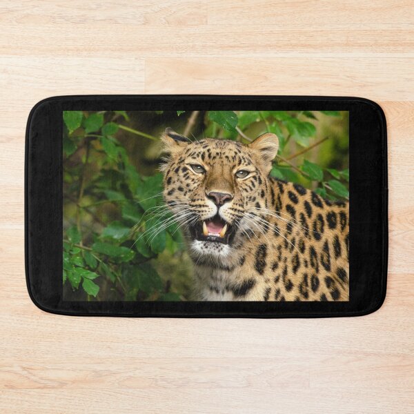 Item preview, Smiling Amur Leopard designed and sold by photosbygemmad.
