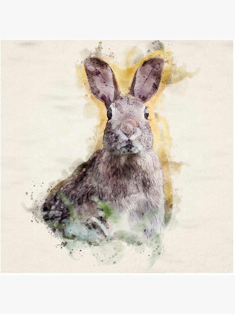 Startled Rabbit | Wildlife Watercolor Illustration by DragonflyDes