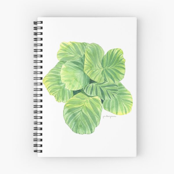 Item preview, Calathea designed and sold by youdesignme.