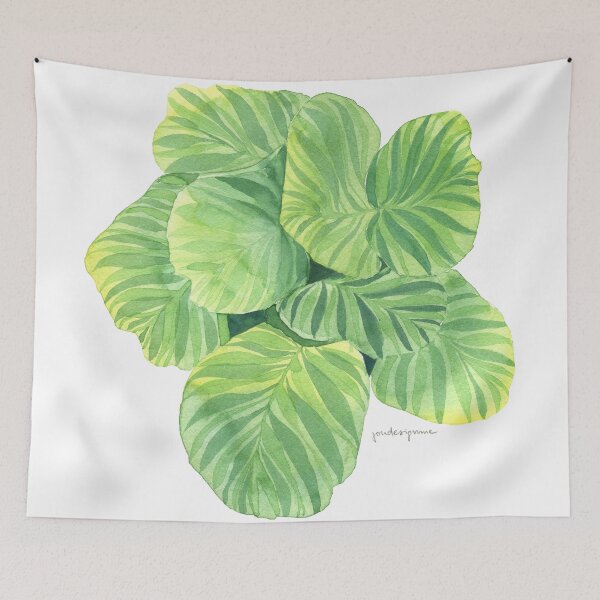 Item preview, Calathea designed and sold by youdesignme.