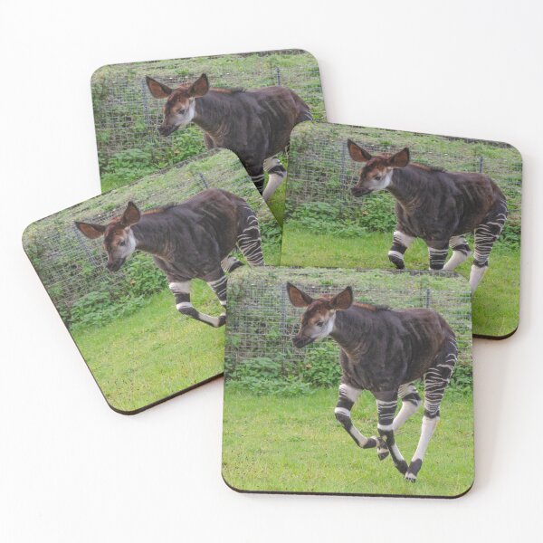 Item preview, Okapi calf running designed and sold by photosbygemmad.
