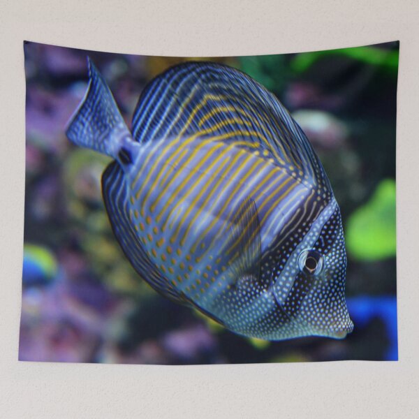 Item preview, Fish designed and sold by Dawn van Doorn.