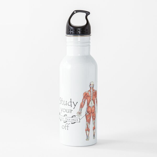 Study your Gluteus Maximus Off Water Bottle