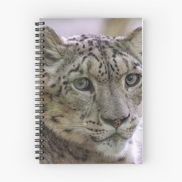 Item preview, Snow leopard portrait designed and sold by photosbygemmad.