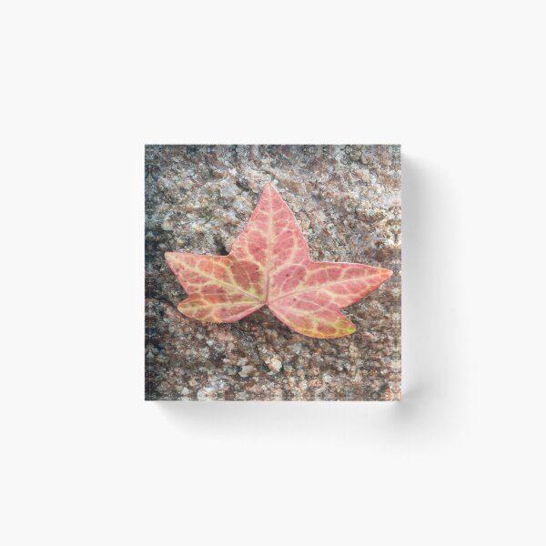 Item preview, Leaf on rock. designed and sold by sandal8684.