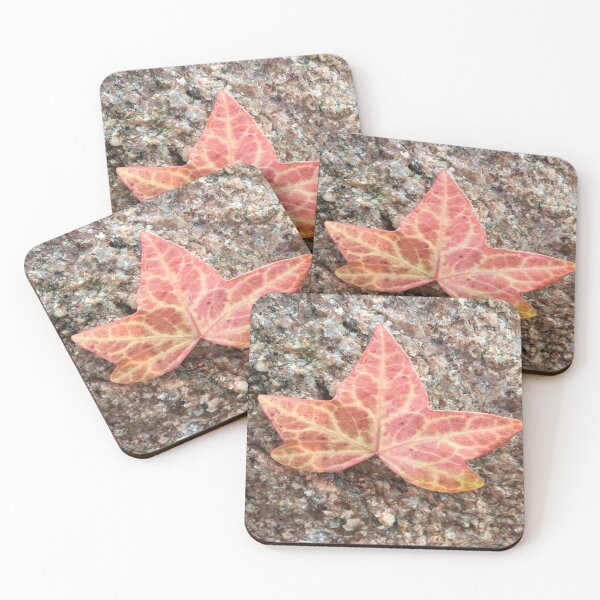 Item preview, Leaf on rock. designed and sold by sandal8684.