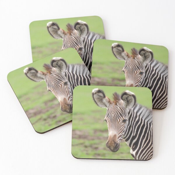 Item preview, Cute zebra foal designed and sold by photosbygemmad.