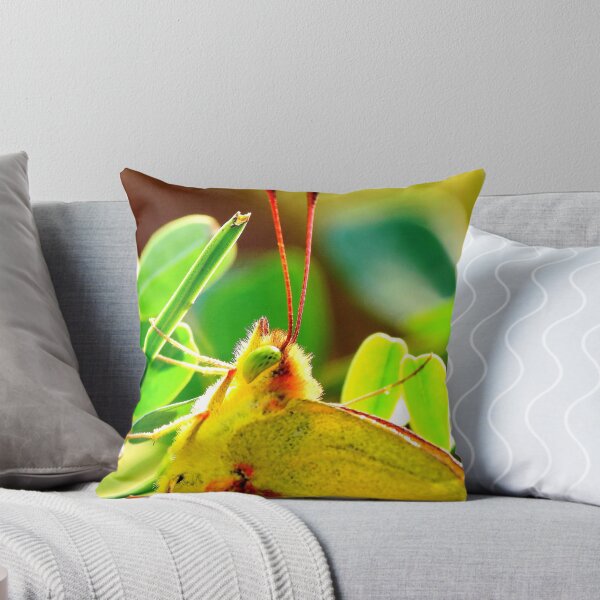 Item preview, Yellow Sulphur Butterfly Portrait designed and sold by Ron Russell.