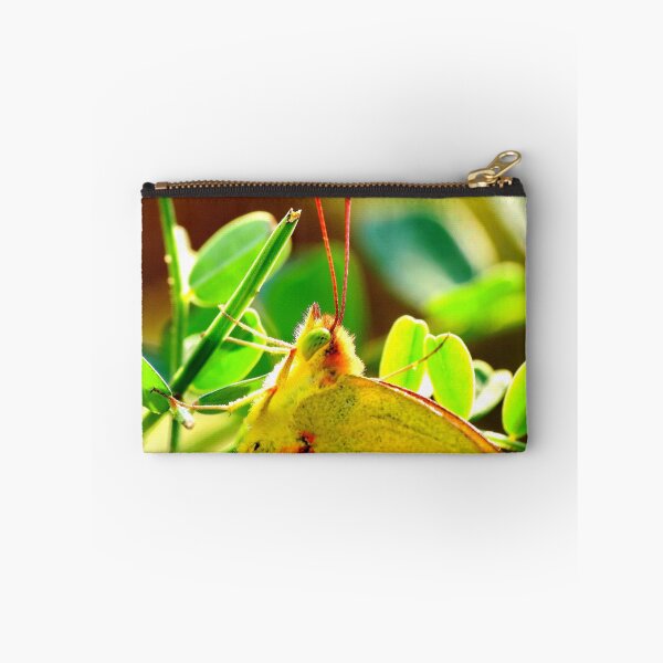 Item preview, Yellow Sulphur Butterfly Portrait designed and sold by Ron Russell.