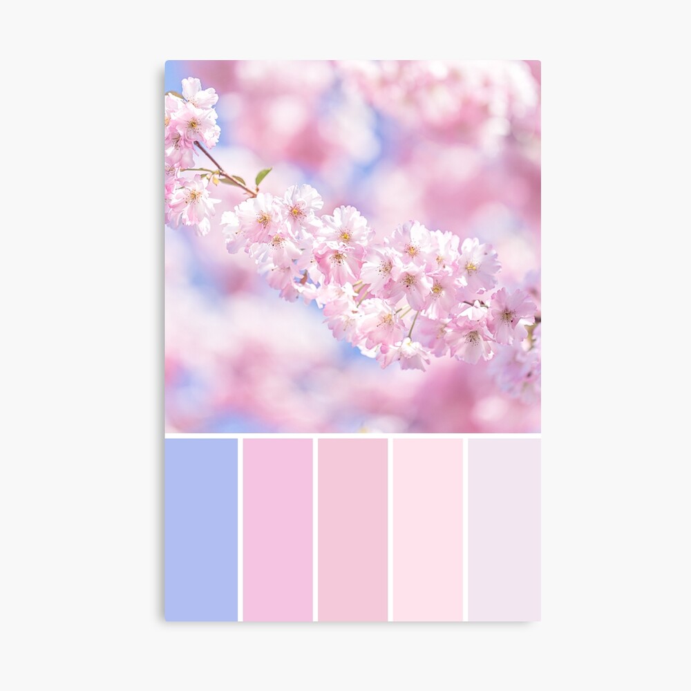 Rose Quartz Poster Pastel Pink Color Card Art Print Color Palette Print,  Color Block Print, Color of the Year 2016, Colorful Art CC22 -  Canada