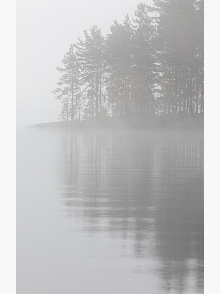 Trees reflection at lake foggy morning by Juhku