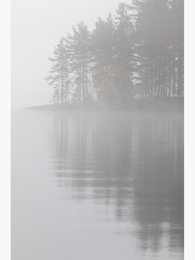 Trees reflection at lake foggy morning by Juhku