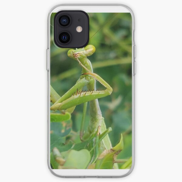After Dinner iPhone Soft Case