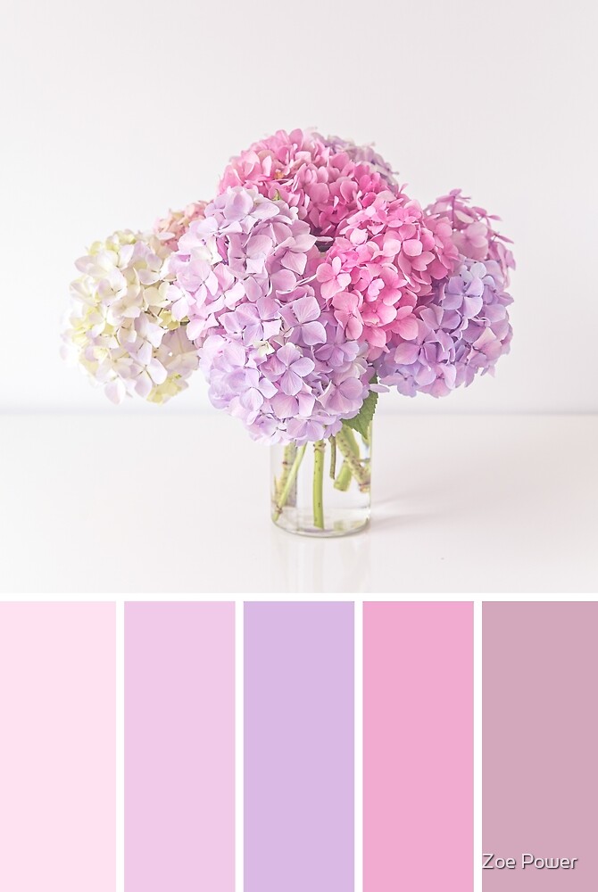 Paleta de colores pastel hortensias» de Zoe Power | Redbubble