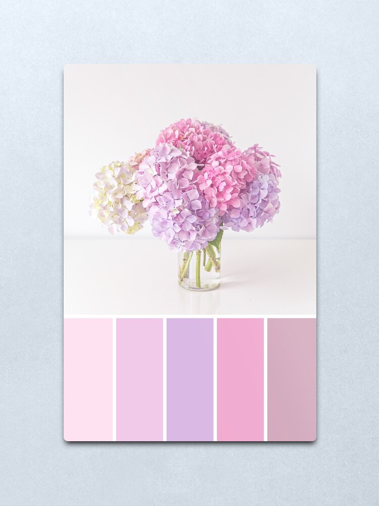 Lámina metálica «Paleta de colores pastel hortensias» de zoepower |  Redbubble