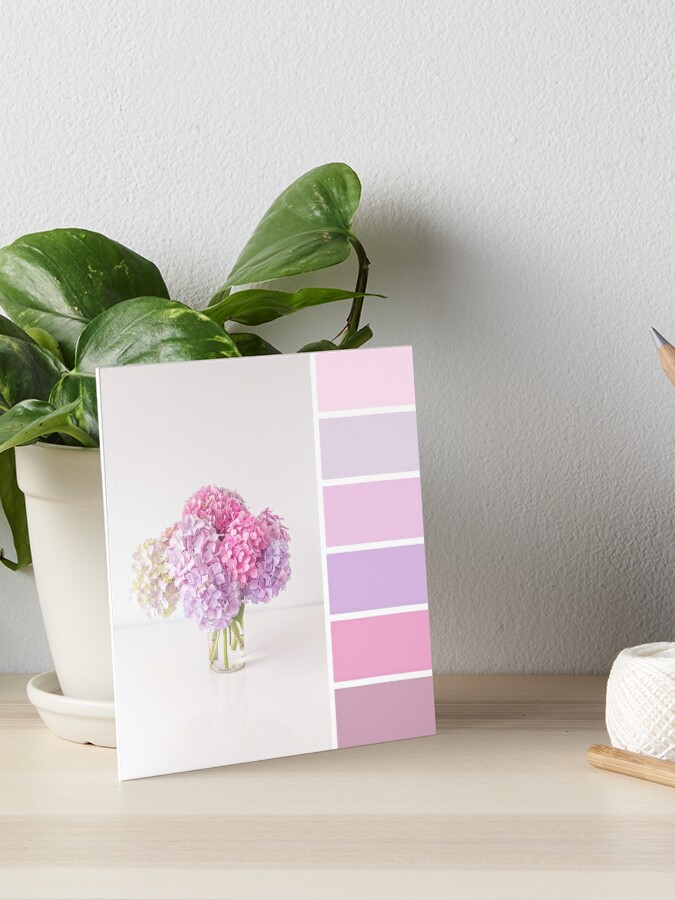 Pastel Hydrangeas Colour Palette Art Board Print for Sale by Zoe