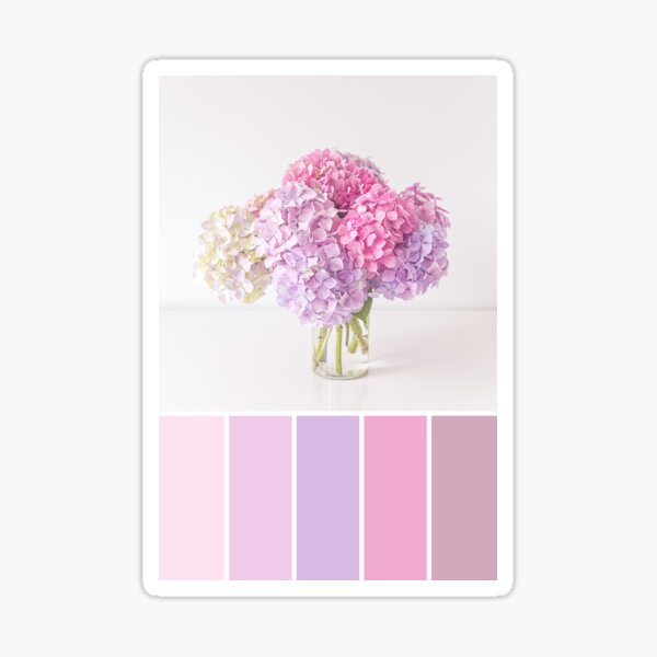 Pastel Hydrangeas Colour Palette Sticker