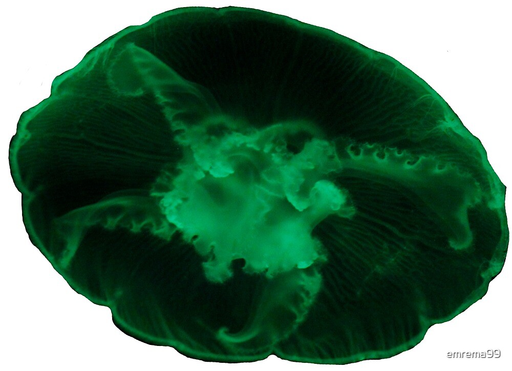 "Green Lighted Jellyfish" by emrema99 Redbubble