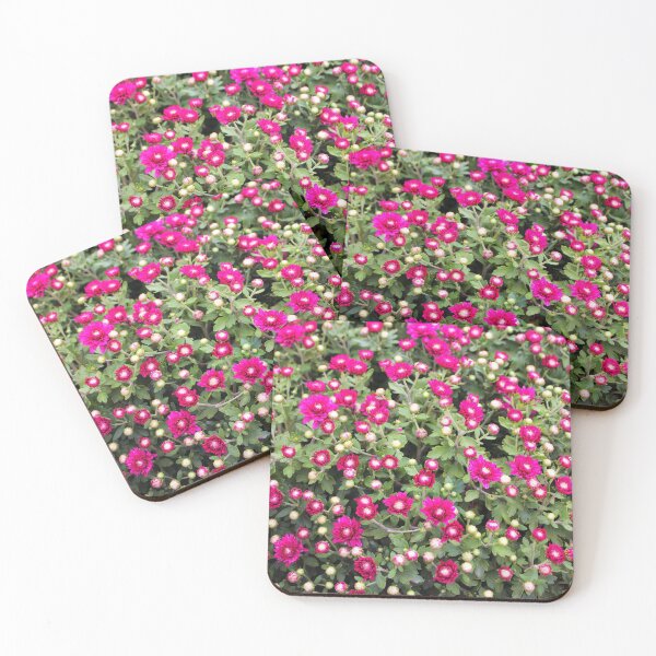 Item preview, Purple Mums designed and sold by Cynthia48.