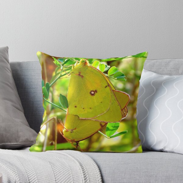 Item preview, Yellow Sulphur Butterfly Pair designed and sold by Ron Russell.