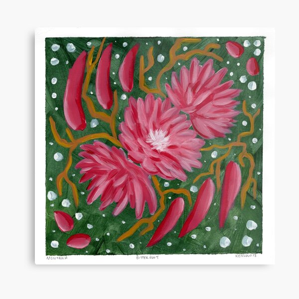 Bitterroot Flowers Wall Art Redbubble