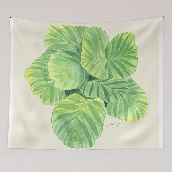 Item preview, Calathea green designed and sold by youdesignme.