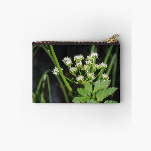 Item preview, Angelica designed and sold by Chris Gudger.