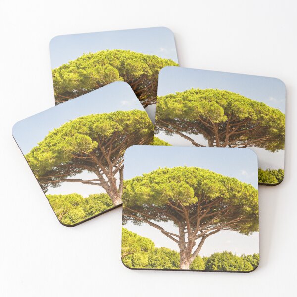 Item preview, Stone pine or Pinus pinea designed and sold by Andy Chisholm.