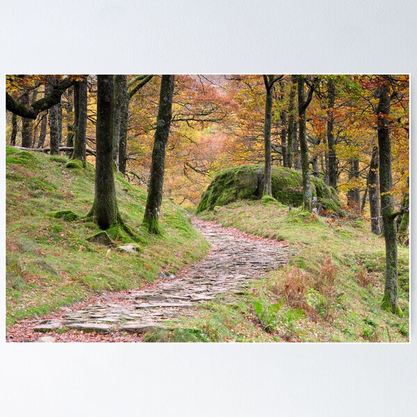 Item preview, Borrowdale Autumn Path designed and sold by Jacqueline Wilkinson.