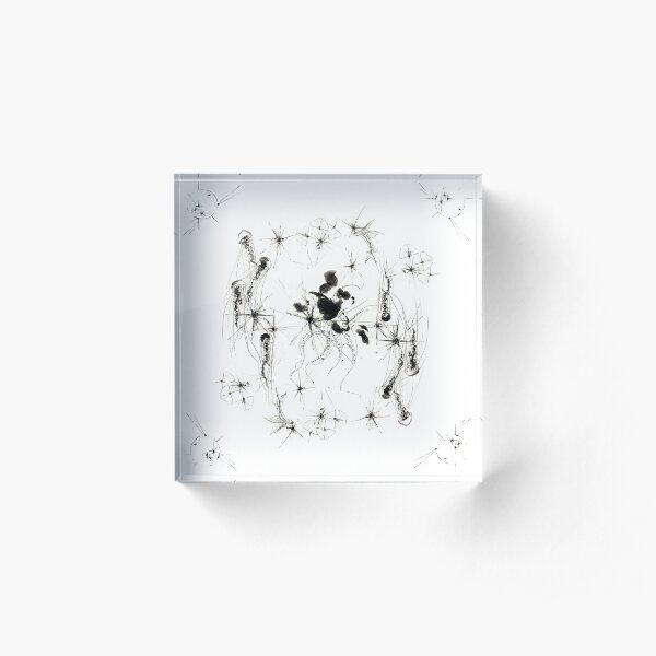 Acrylic Block