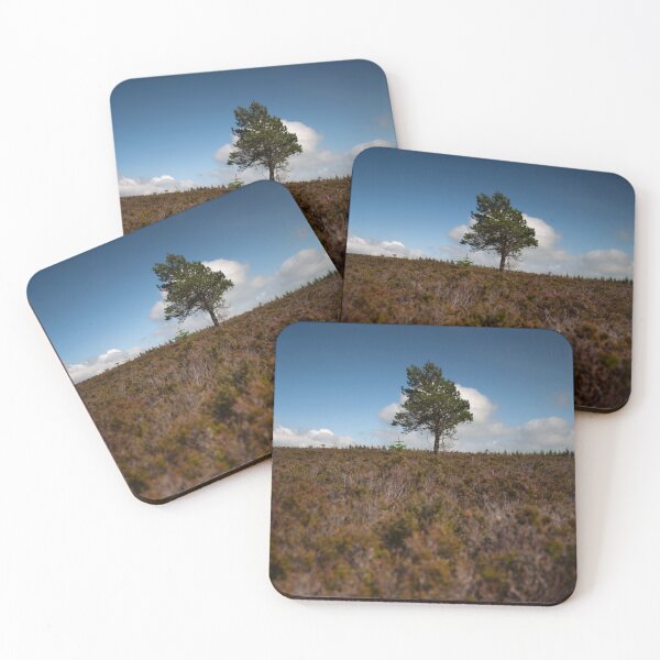 Item preview, lone tree, whitehaugh forest designed and sold by codaimages.