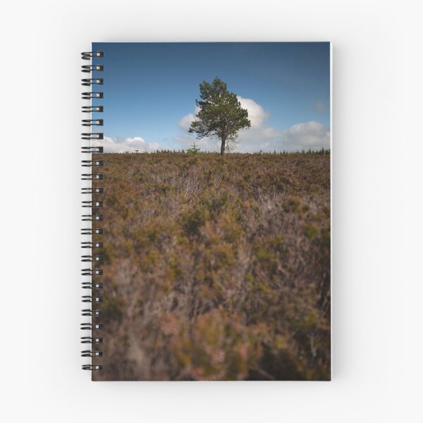 Artikelvorschau, Einsamer Baum, Whitehaugh Forest entworfen und verkauft von codaimages.