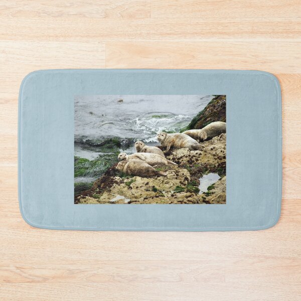 Item preview, Seals In Monterey California designed and sold by K D Graves Photography.