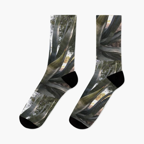 Item preview, Agave designed and sold by Beau Gordon.