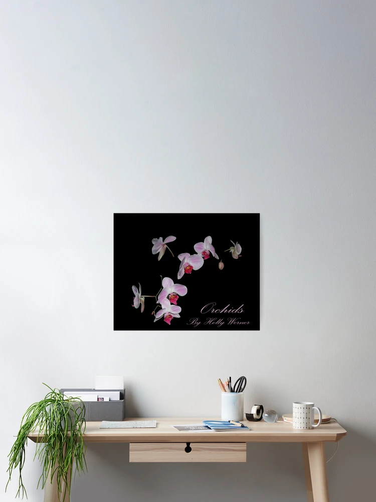 Thumbnail 2 of 3, Poster, Orchids designed and sold by Holly Werner.