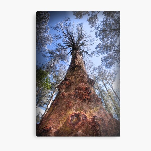 Item preview, The Majestic Mountain Ash designed and sold by John Bullen.
