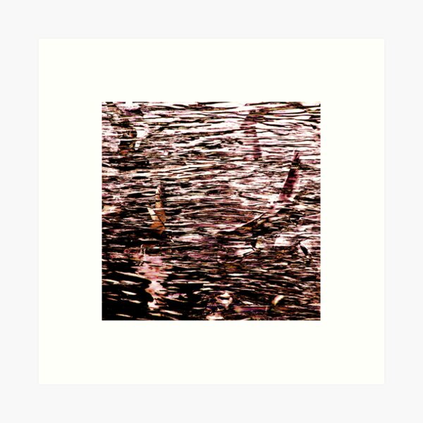 Canal Birds Art Print