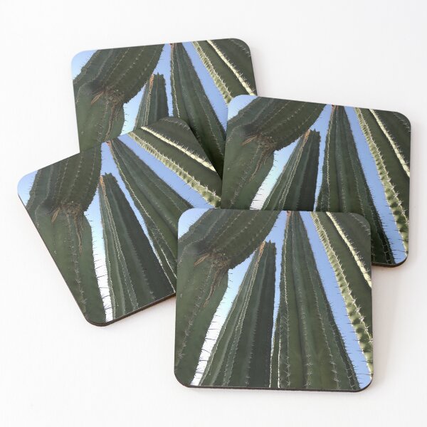 Item preview, Cacti Tres designed and sold by Beau Gordon.