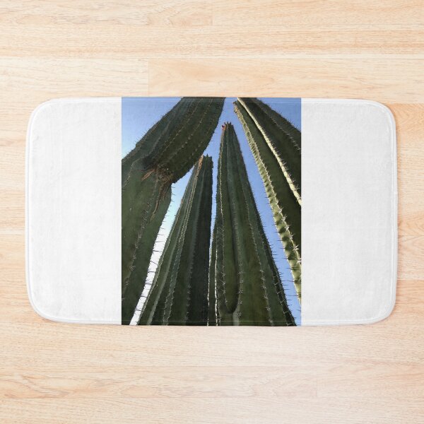 Item preview, Cacti Tres designed and sold by Beau Gordon.