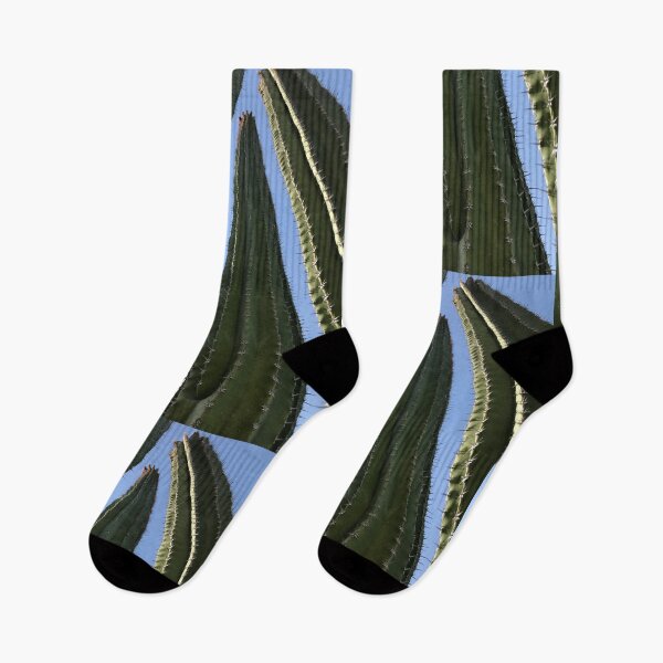 Item preview, Cacti Tres designed and sold by Beau Gordon.