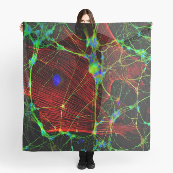 Item preview, Synapses designed and sold by pocketsoup.