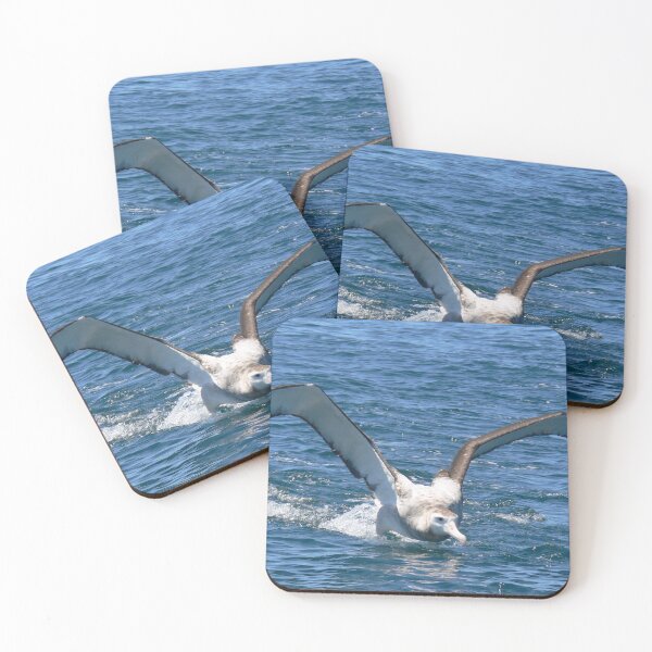 Item preview, Taking Off designed and sold by Larry Davis.