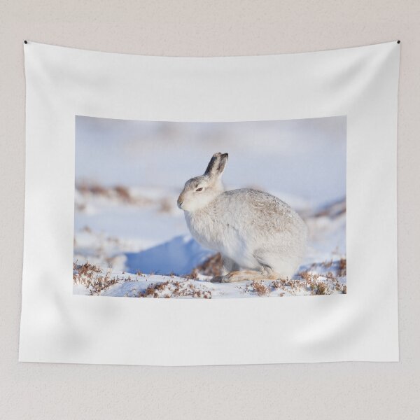Item preview, Wild hare  on snow covered mountain designed and sold by chanonry.
