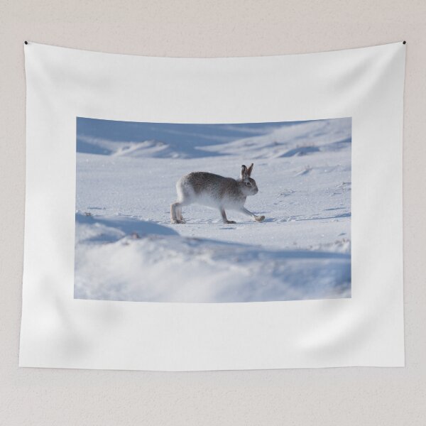 Item preview, Copy of Wild hare  on snow covered mountain designed and sold by chanonry.