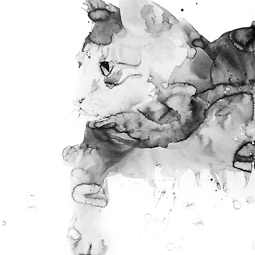 Artwork thumbnail, cat by Joffrey Rivard