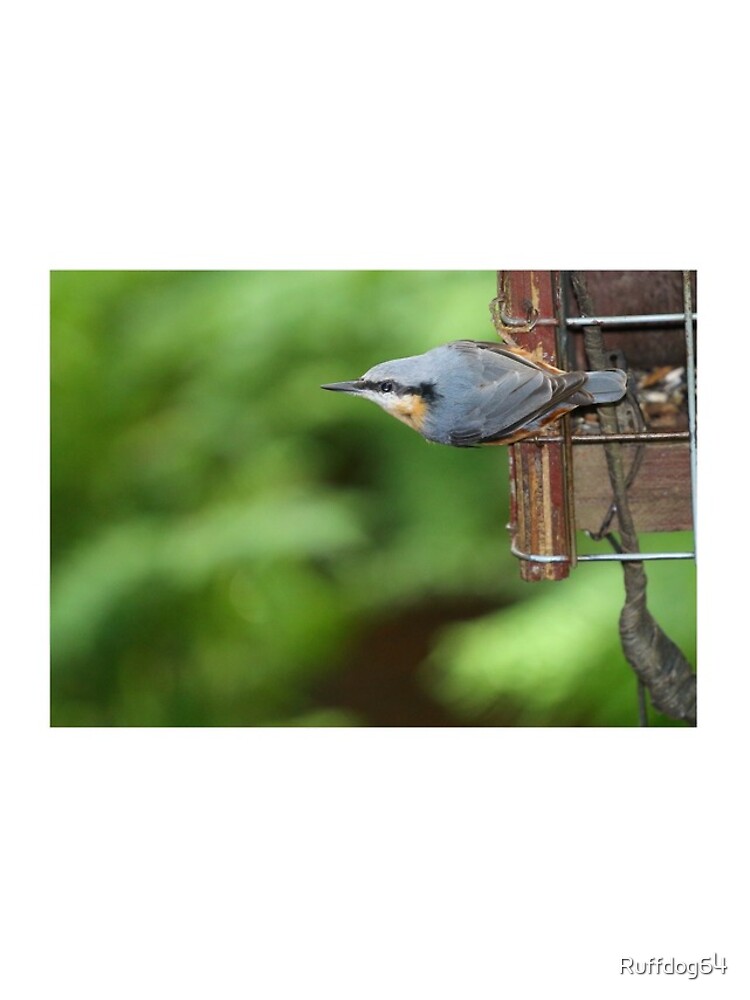 Thumbnail 4 of 4, iPhone Case, Nuthatch designed and sold by Ruffdog64.