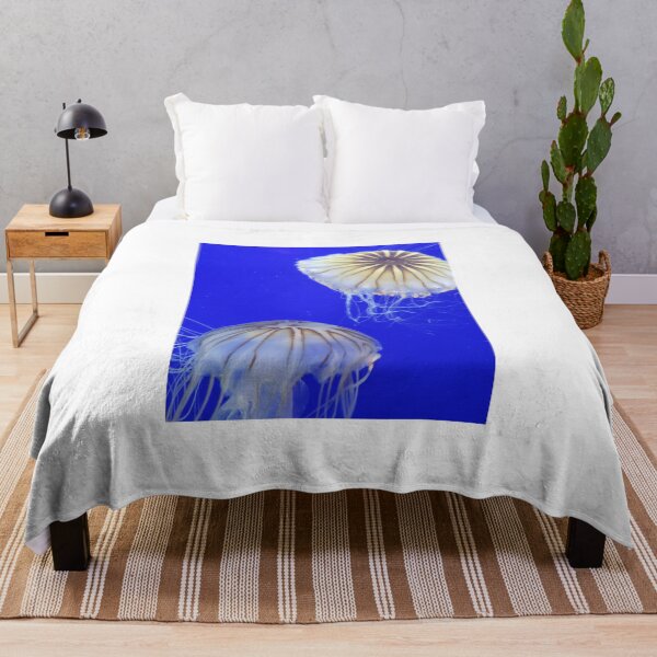 Item preview, 2 Jellyfish together designed and sold by Christine Bialczak.