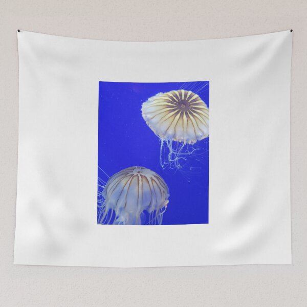 Item preview, 2 Jellyfish together designed and sold by Christine  Bialczak.