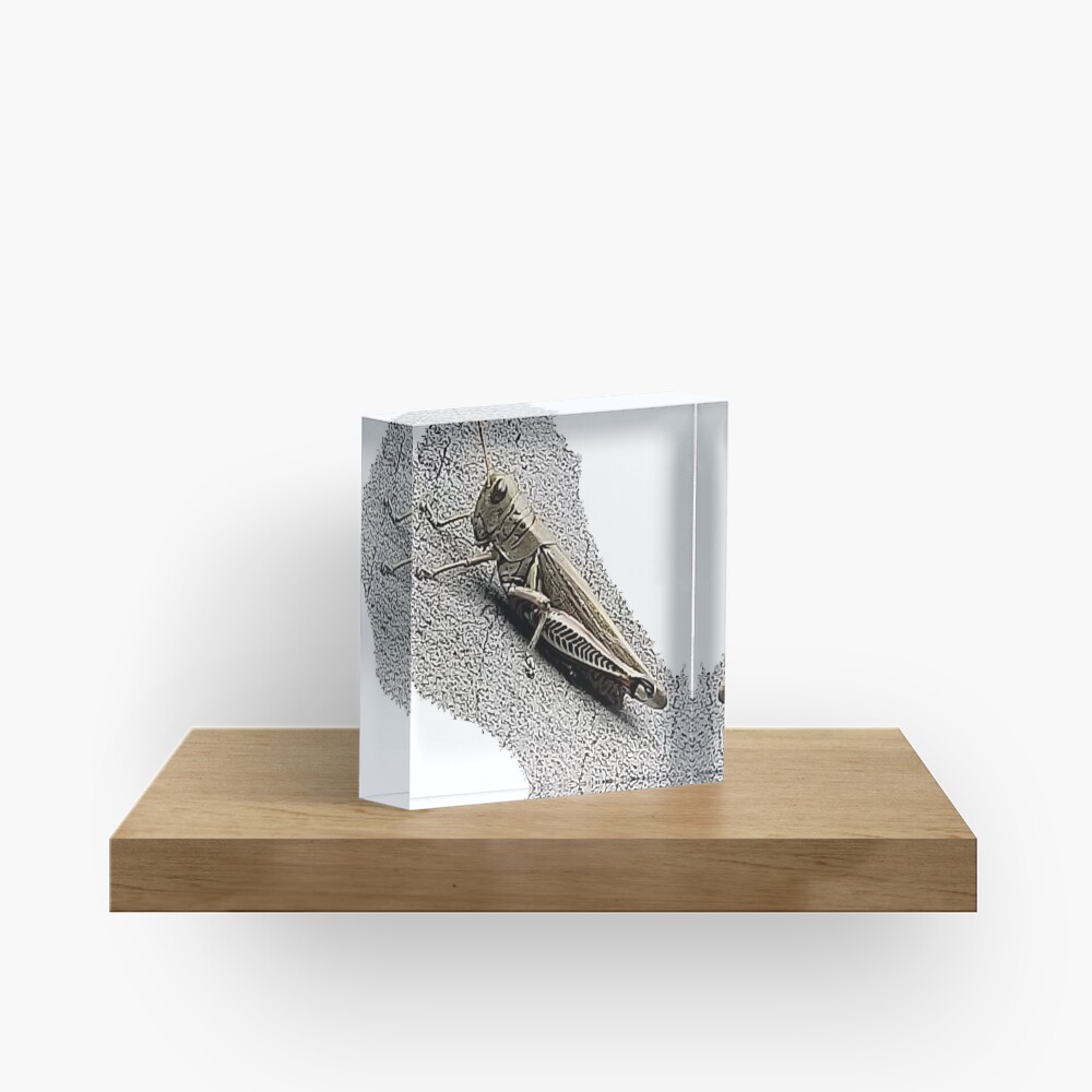 Mechanic Grasshopper Acrylic Block